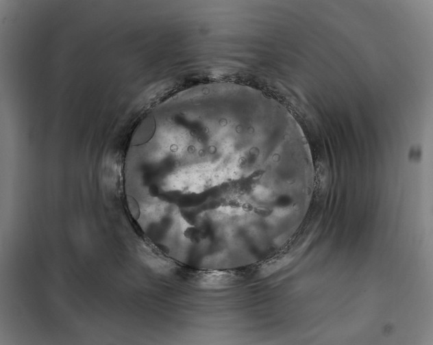 X0000099500527200806121418