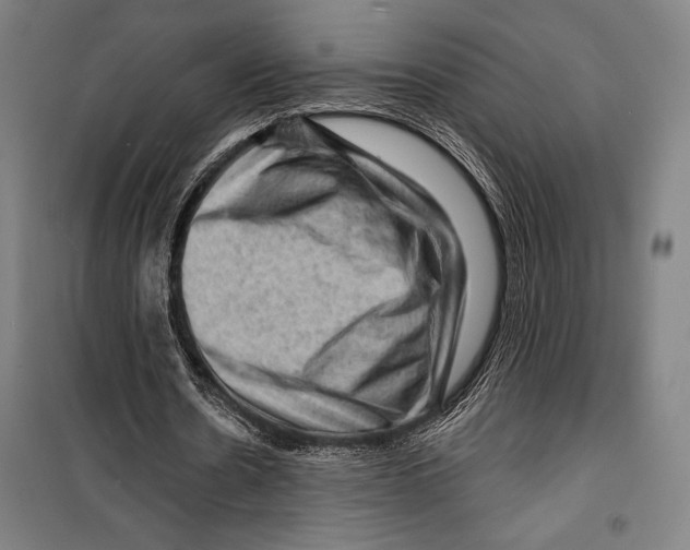 X0000099500530200806121417