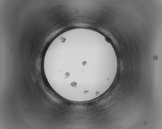 X0000099500533200806121418