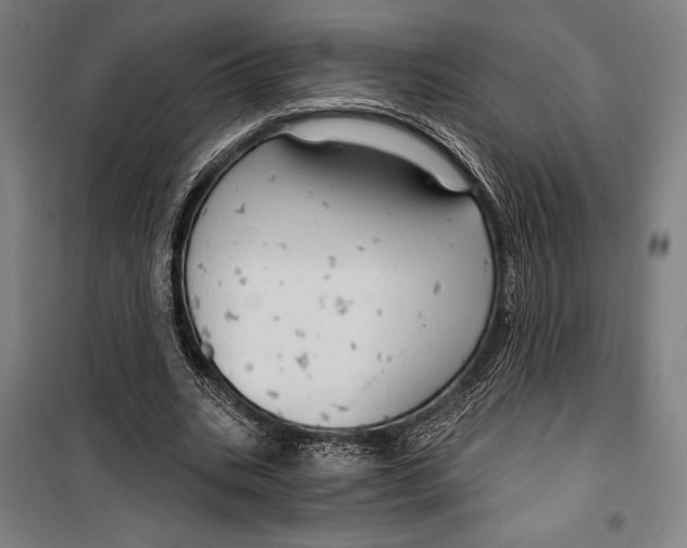 X0000099500535200806121418