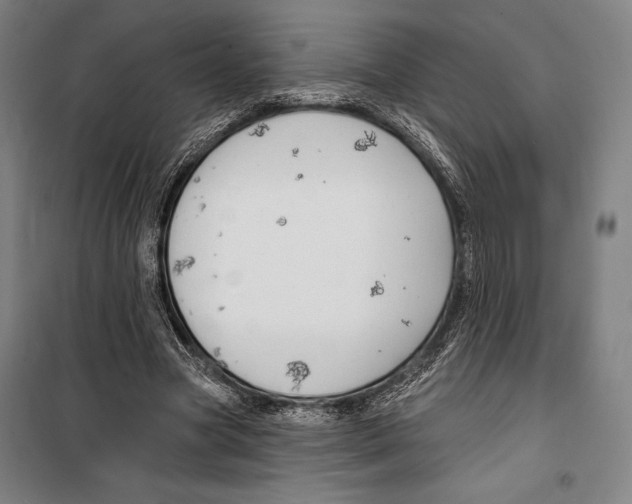 X0000099500537200806121418