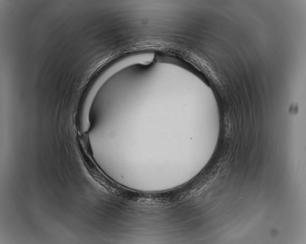 X0000099500538200806121418