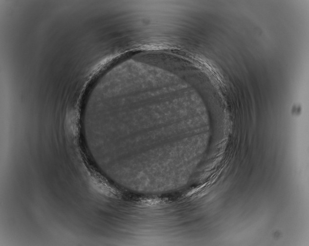 X0000099500540200806121418