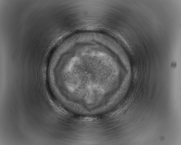 X0000099500542200806121418