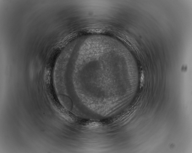 X0000099500551200806121418