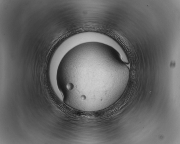 X0000099500552200806121418