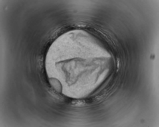 X0000099500559200806121418