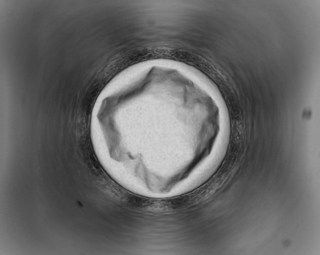 X0000099500561200806121418