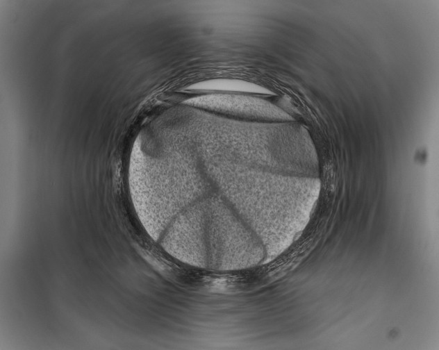 X0000099500564200806121418