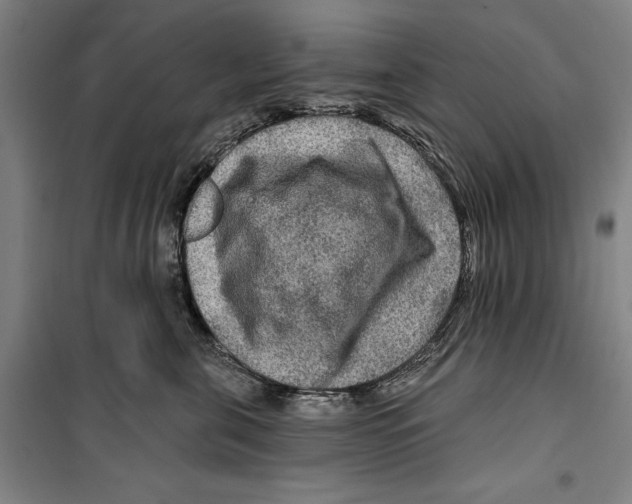 X0000099500571200806121418