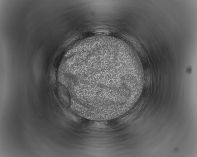 X0000099500573200806121418