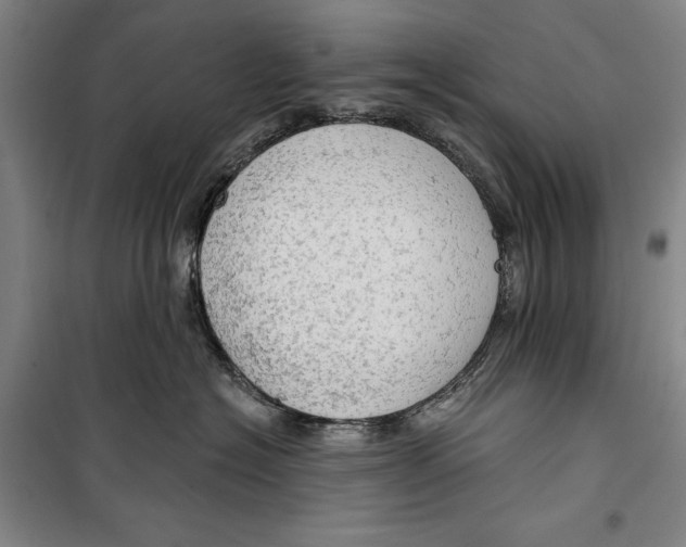 X0000099500574200806121418