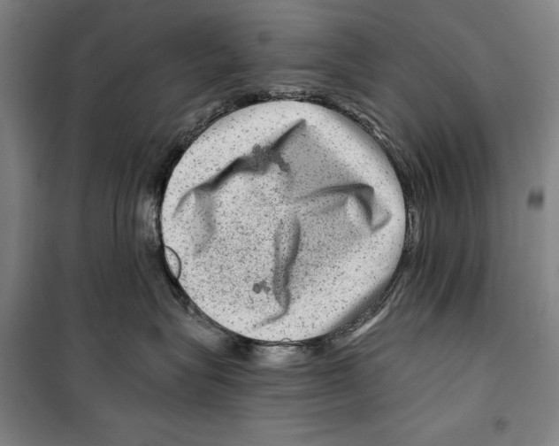 X0000099500575200806121418