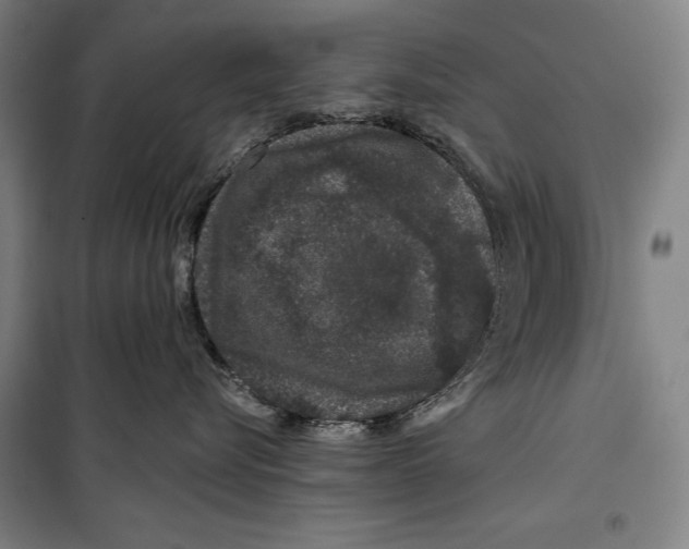 X0000099500576200806121418