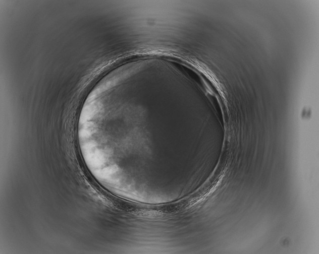 X0000099500577200806121417