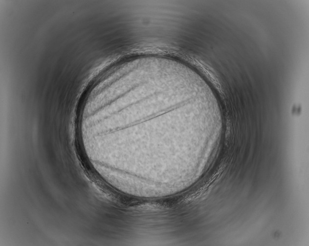 X0000099500578200806121417