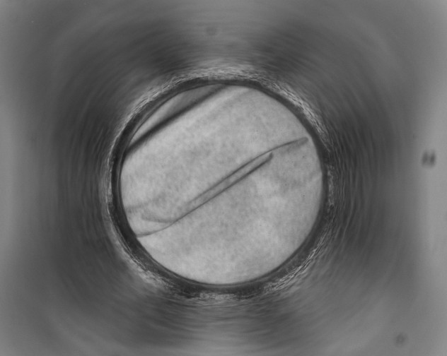 X0000099500582200806121417