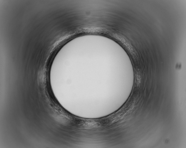 X0000099500583200806121417