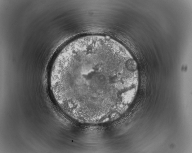 X0000099500584200806121417