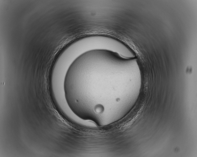 X0000099500585200806121417