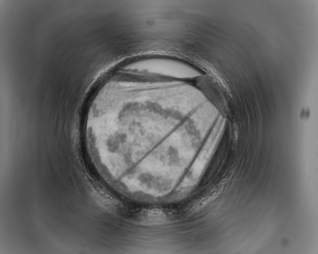 X0000099500588200806121417