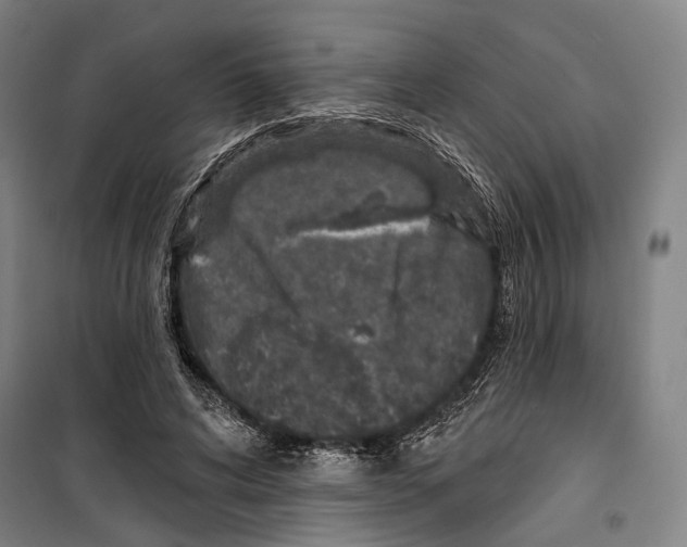 X0000099500592200806121417