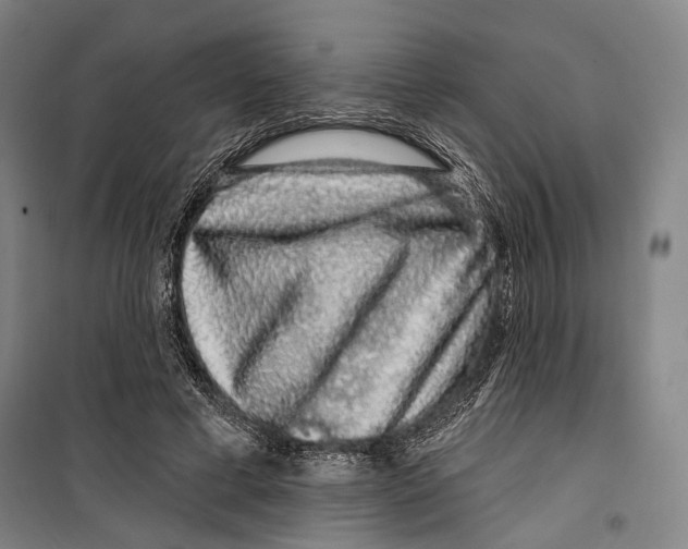 X0000099500593200806121417