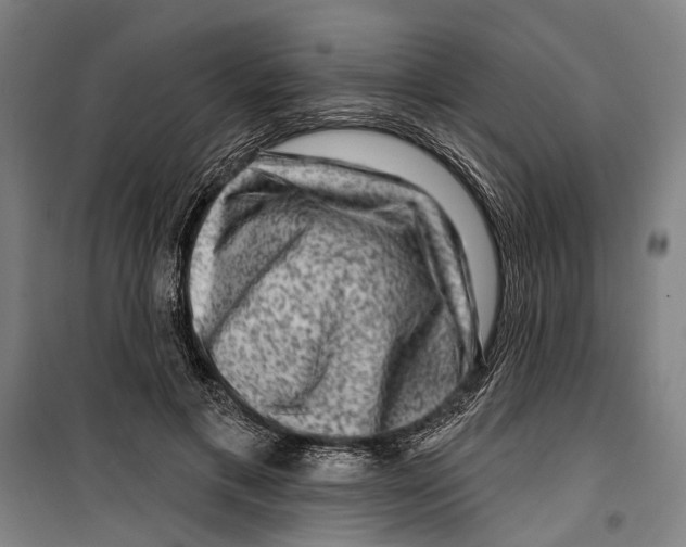 X0000099500597200806121417