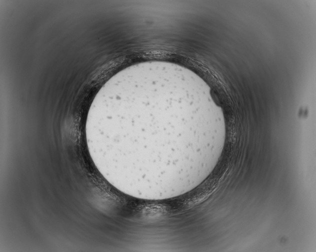 X0000099500599200806121417