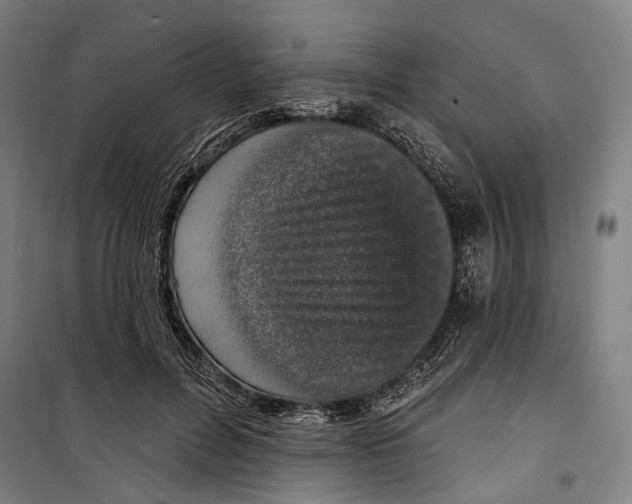 X0000099500600200806121417