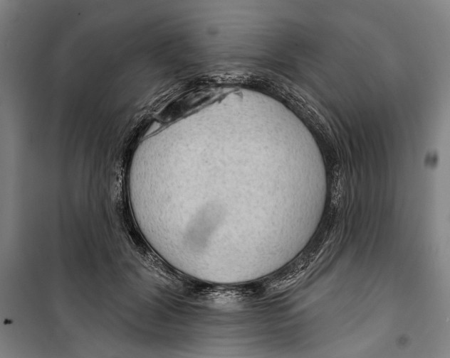 X0000099500604200806121417