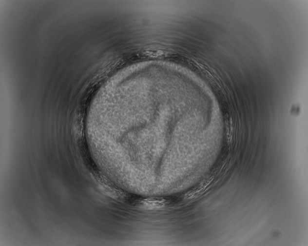 X0000099500606200806121417