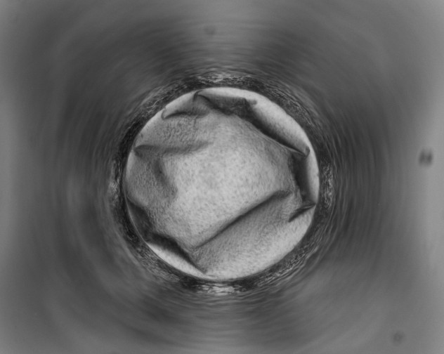 X0000099500607200806121417