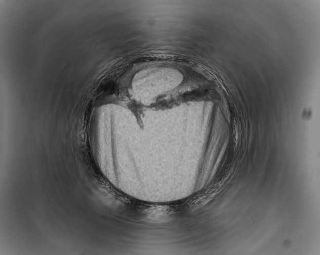 X0000099500609200806121417