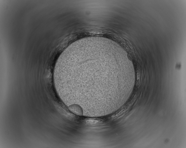 X0000099500614200806121417