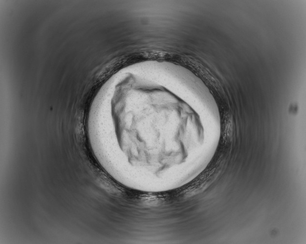 X0000099500616200806121417