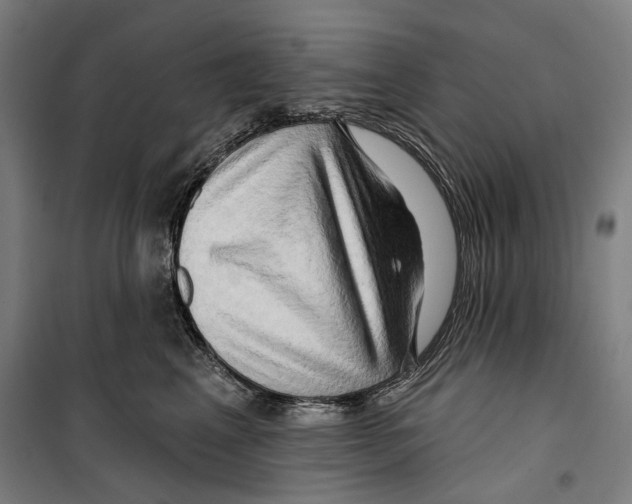 X0000099500617200806121417