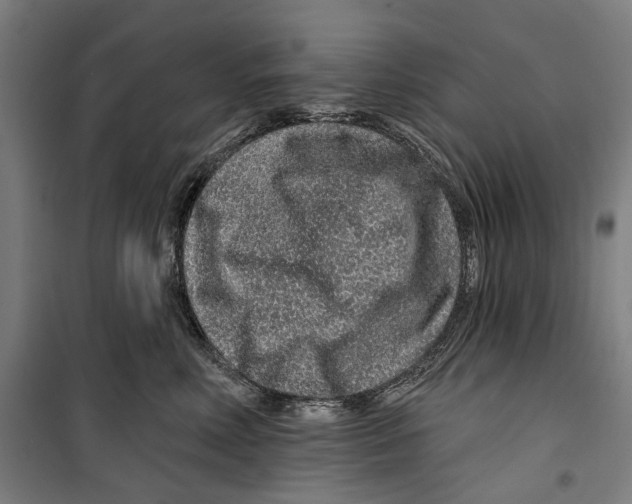 X0000099500618200806121417