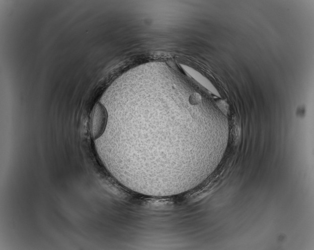 X0000099500619200806121417