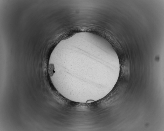 X0000099500620200806121417