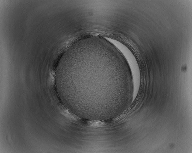 X0000099500621200806121417