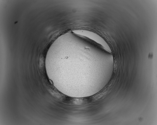 X0000099500623200806121417