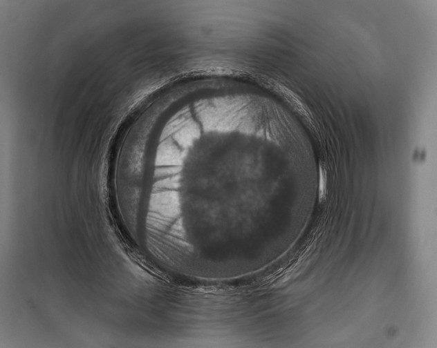 X0000099500627200806121416