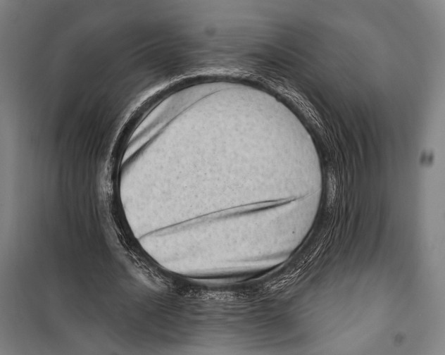 X0000099500628200806121416