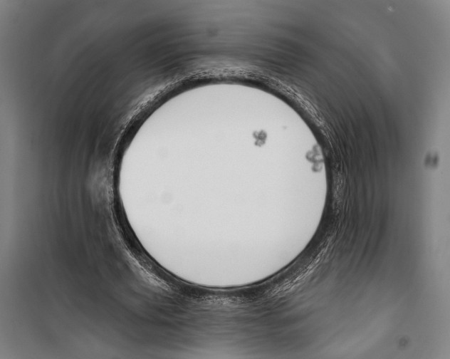 X0000099500629200806121416