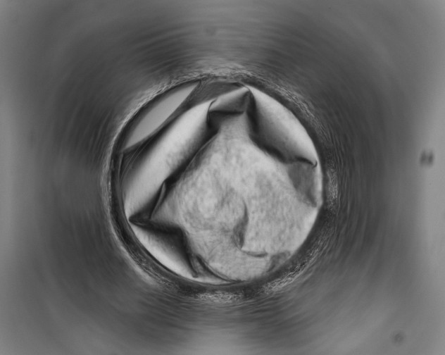 X0000099500630200806121416