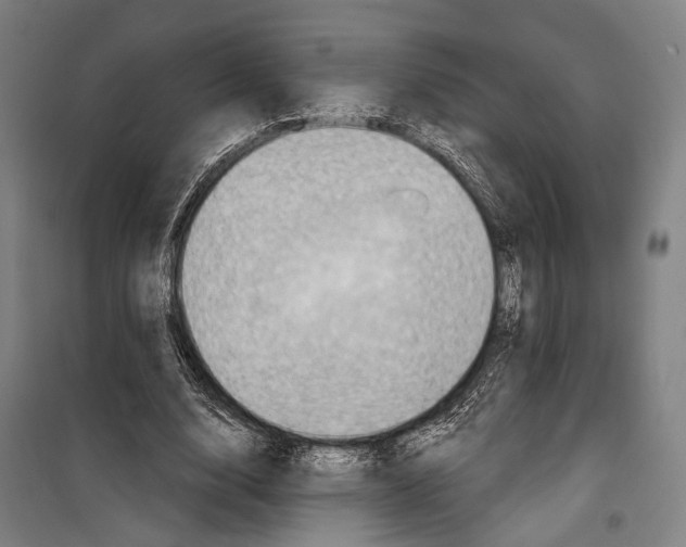 X0000099500632200806121416