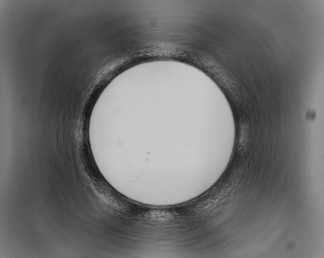 X0000099500636200806121416