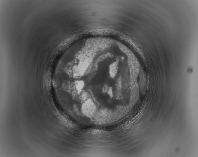 X0000099500637200806121416