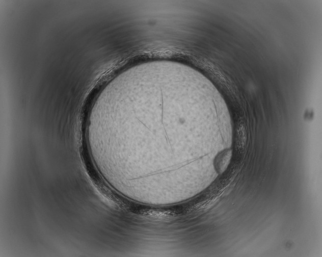 X0000099500638200806121416